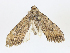  ( - CBG-A10762-C07)  @11 [ ] CreativeCommons - Attribution Share - Alike (2023) CBG Photography Group Centre for Biodiversity Genomics