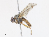  ( - CBG-A10781-G04)  @11 [ ] CreativeCommons - Attribution Share - Alike (2023) CBG Photography Group Centre for Biodiversity Genomics