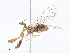  ( - CBG-A10781-H06)  @11 [ ] CreativeCommons - Attribution Share - Alike (2023) CBG Photography Group Centre for Biodiversity Genomics