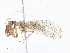 ( - CBG-A10781-H07)  @11 [ ] CreativeCommons - Attribution Share - Alike (2023) CBG Photography Group Centre for Biodiversity Genomics