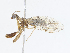  ( - CBG-A10782-A02)  @11 [ ] CreativeCommons - Attribution Share - Alike (2023) CBG Photography Group Centre for Biodiversity Genomics