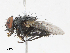  ( - CBG-A10783-A09)  @11 [ ] CreativeCommons - Attribution Share - Alike (2023) CBG Photography Group Centre for Biodiversity Genomics