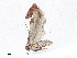  ( - CBG-A10784-H07)  @11 [ ] CreativeCommons - Attribution Share - Alike (2023) CBG Photography Group Centre for Biodiversity Genomics