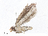  ( - CBG-A10784-H08)  @11 [ ] CreativeCommons - Attribution Share - Alike (2023) CBG Photography Group Centre for Biodiversity Genomics