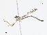  ( - CBG-A10822-C02)  @11 [ ] CreativeCommons - Attribution Share - Alike (2023) CBG Photography Group Centre for Biodiversity Genomics