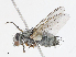  ( - CBG-A10822-D02)  @11 [ ] CreativeCommons - Attribution Share - Alike (2023) CBG Photography Group Centre for Biodiversity Genomics