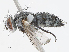  ( - CBG-A10823-E02)  @11 [ ] CreativeCommons - Attribution Share - Alike (2023) CBG Photography Group Centre for Biodiversity Genomics