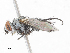 ( - CBG-A10823-G12)  @11 [ ] CreativeCommons - Attribution Share - Alike (2023) CBG Photography Group Centre for Biodiversity Genomics