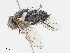  ( - CBG-A10824-F02)  @11 [ ] CreativeCommons - Attribution Share - Alike (2023) CBG Photography Group Centre for Biodiversity Genomics