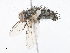  ( - CBG-A10824-H03)  @11 [ ] CreativeCommons - Attribution Share - Alike (2023) CBG Photography Group Centre for Biodiversity Genomics