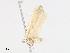  ( - CBG-A10825-G04)  @11 [ ] CreativeCommons - Attribution Share - Alike (2023) CBG Photography Group Centre for Biodiversity Genomics