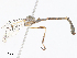  ( - CBG-A10826-A06)  @11 [ ] CreativeCommons - Attribution Share - Alike (2023) CBG Photography Group Centre for Biodiversity Genomics