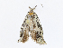  ( - CBG-A13327-A02)  @11 [ ] CreativeCommons - Attribution Share - Alike (2023) CBG Photography Group Centre for Biodiversity Genomics
