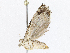  ( - CBG-A13327-B01)  @11 [ ] CreativeCommons - Attribution Share - Alike (2023) CBG Photography Group Centre for Biodiversity Genomics