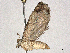  ( - CBG-A13327-B01)  @11 [ ] CreativeCommons - Attribution Share - Alike (2023) CBG Photography Group Centre for Biodiversity Genomics
