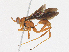  ( - CBG-A14993-D02)  @11 [ ] CreativeCommons - Attribution Share - Alike (2023) CBG Photography Group Centre for Biodiversity Genomics