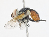  ( - CBG-A14995-C04)  @11 [ ] CreativeCommons - Attribution Share-Alike (2023) CBG Photography Group Centre for Biodiversity Genomics