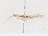  ( - CBG-A16665-B02)  @11 [ ] CreativeCommons - Attribution Share-Alike (2023) CBG Photography Group Centre for Biodiversity Genomics