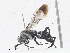  ( - CBG-A16665-H06)  @11 [ ] CreativeCommons - Attribution Share-Alike (2023) CBG Photography Group Centre for Biodiversity Genomics