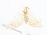  ( - CBG-A16667-H05)  @11 [ ] CreativeCommons - Attribution Share - Alike (2023) CBG Photography Group Centre for Biodiversity Genomics