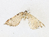  ( - CBG-A13259-E11)  @11 [ ] CreativeCommons - Attribution Share-Alike (2023) CBG Photography Group Centre for Biodiversity Genomics