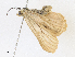  ( - CBG-A13260-A10)  @11 [ ] CreativeCommons - Attribution Share-Alike (2023) CBG Photography Group Centre for Biodiversity Genomics