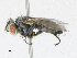  ( - CBG-A13260-B07)  @11 [ ] CreativeCommons - Attribution Share-Alike (2023) CBG Photography Group Centre for Biodiversity Genomics
