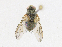 ( - CBG-A13320-G01)  @11 [ ] CreativeCommons - Attribution Share-Alike (2023) CBG Photography Group Centre for Biodiversity Genomics