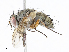  ( - CBG-A13328-H05)  @11 [ ] CreativeCommons - Attribution Share - Alike (2023) CBG Photography Group Centre for Biodiversity Genomics