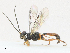  ( - CBG-A13344-G06)  @11 [ ] CreativeCommons - Attribution Share - Alike (2023) CBG Photography Group Centre for Biodiversity Genomics