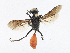  ( - CBG-A14996-H03)  @11 [ ] CreativeCommons - Attribution Share-Alike (2023) CBG Photography Group Centre for Biodiversity Genomics