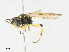  ( - CBG-A15019-F12)  @11 [ ] CreativeCommons - Attribution Share - Alike (2023) CBG Photography Group Centre for Biodiversity Genomics