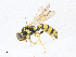  ( - CBG-A15019-H07)  @11 [ ] CreativeCommons - Attribution Share - Alike (2023) CBG Photography Group Centre for Biodiversity Genomics
