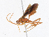  ( - CBG-A16652-H03)  @11 [ ] CreativeCommons - Attribution Share - Alike (2023) CBG Photography Group Centre for Biodiversity Genomics