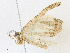 ( - CBG-A16657-A11)  @11 [ ] CreativeCommons - Attribution Share - Alike (2023) CBG Photography Group Centre for Biodiversity Genomics
