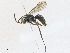  ( - CBG-A17517-B03)  @11 [ ] CreativeCommons - Attribution Share - Alike (2023) CBG Photography Group Centre for Biodiversity Genomics