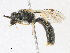  ( - CBG-A17517-B10)  @11 [ ] CreativeCommons - Attribution Share - Alike (2023) CBG Photography Group Centre for Biodiversity Genomics