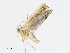  ( - CBG-A17518-B04)  @11 [ ] CreativeCommons - Attribution Share - Alike (2023) CBG Photography Group Centre for Biodiversity Genomics
