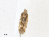  ( - CBG-A17519-D11)  @11 [ ] CreativeCommons - Attribution Share - Alike (2023) CBG Photography Group Centre for Biodiversity Genomics
