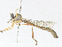 ( - CBG-A17519-G12)  @11 [ ] CreativeCommons - Attribution Share - Alike (2023) CBG Photography Group Centre for Biodiversity Genomics
