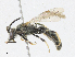  ( - CBG-A17520-E06)  @11 [ ] CreativeCommons - Attribution Share - Alike (2023) CBG Photography Group Centre for Biodiversity Genomics