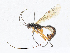  ( - CBG-A17550-H07)  @11 [ ] CreativeCommons - Attribution Share - Alike (2023) CBG Photography Group Centre for Biodiversity Genomics