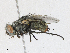  ( - CBG-A18365-C04)  @11 [ ] CreativeCommons - Attribution Share - Alike (2023) CBG Photography Group Centre for Biodiversity Genomics