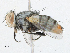  ( - CBG-A16660-G01)  @11 [ ] CreativeCommons - Attribution Share-Alike (2023) CBG Photography Group Centre for Biodiversity Genomics