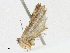  ( - CBG-A17510-D08)  @11 [ ] CreativeCommons - Attribution Share - Alike (2023) CBG Photography Group Centre for Biodiversity Genomics