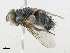  ( - CBG-A18397-G07)  @11 [ ] CreativeCommons - Attribution Share-Alike (2023) CBG Photography Group Centre for Biodiversity Genomics