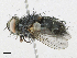  ( - CBG-A18397-G08)  @11 [ ] CreativeCommons - Attribution Share-Alike (2023) CBG Photography Group Centre for Biodiversity Genomics
