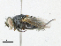  ( - CBG-A18397-G11)  @11 [ ] CreativeCommons - Attribution Share-Alike (2023) CBG Photography Group Centre for Biodiversity Genomics