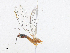 ( - CBG-A18397-H05)  @11 [ ] CreativeCommons - Attribution Share-Alike (2023) CBG Photography Group Centre for Biodiversity Genomics