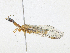  ( - CBG-A18397-H07)  @11 [ ] CreativeCommons - Attribution Share-Alike (2023) CBG Photography Group Centre for Biodiversity Genomics
